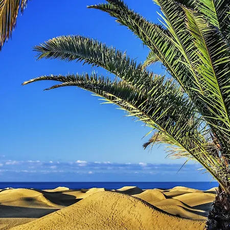 Holiday home Palmas Near Playa De Canteras *